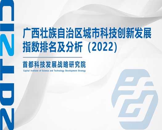 操白虎内射在线【成果发布】广西壮族自治区城市科技创新发展指数排名及分析（2022）